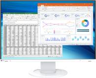 Монитор Eizo FlexScan EV2410R White EV2410R-WT