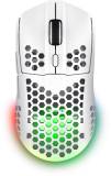 Мышка Trust GXT 929 Helox Wireless/USB-A White 25390