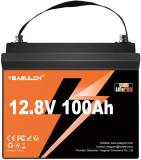 Аккумулятор Yeagulch 12.8V 100Ah Mini Max YEAGULCH-12,8V/100Ah Max