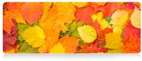 Коврик VOLTRONIC Autumn leaves FL372