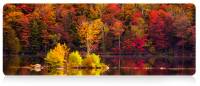 Коврик VOLTRONIC Autumn forest AT372
