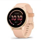 Часы Garmin vivoactive 6, Pink Dawn/P. Dawn Metallic, GPS смар 010-02985-03