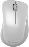 Мышка Canyon MW-11 Wireless Pixart White Grey CNE-CMSW11PW