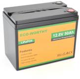 Аккумулятор Dyness 12,8V 50Ah (50/50A) Eco-Worthy-1250