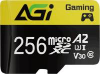 Флеш-карта AGI AGI256GGSTF138-R2