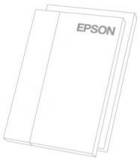 Подробнее о Epson C13S041598