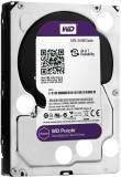 Подробнее о Western Digital Purple 1TB 64MB 5400rpm WD10PURZ