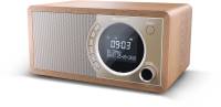 Акустика Sharp DR-450(BR)