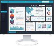 Монитор Eizo EV2495-WT