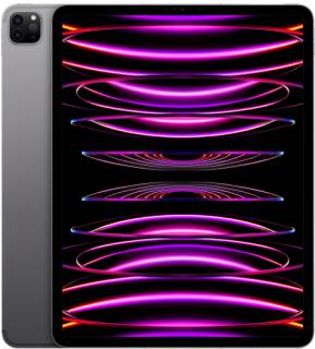 Планшет Apple iPad Pro 12.9 256GB M2 Wi-Fi+4G (MP203) Space Gray