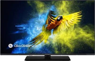 Телевизор GoGEN TVF32M340STWEB