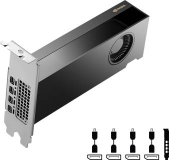 Видеокарта PNY NVIDIA RTX 2000 Ada Generation 16GB VCNRTX2000ADA-SB