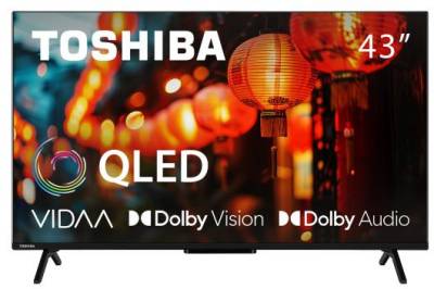 Телевизор Toshiba 43QV2463DG