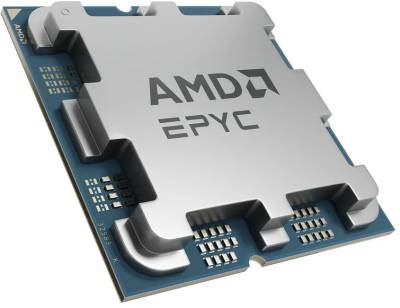 Процессор AMD EPYC 4344P Tray 100-000001479