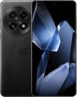 Смартфон OnePlus 13 12/256GB Black