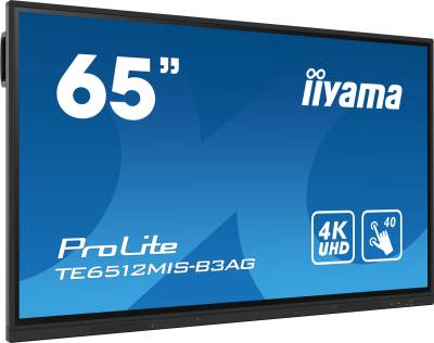 Монитор iiyama ProLite TE6512MIS-B3AG