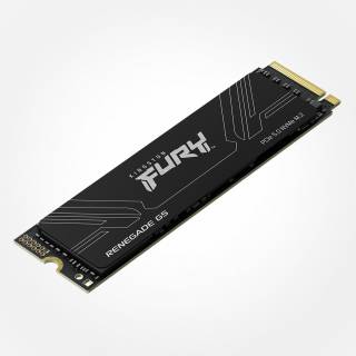 Накопитель Kingston FURY Renegade G5 1TB M.2 2280 NVMe PCIe Gen5 x4 3D TLC SFYR2S/1T0