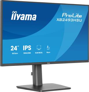 Монитор iiyama ProLite XB2493HSU-B1