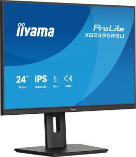 Монитор iiyama ProLite XB2495WSU-B1 Matte Black