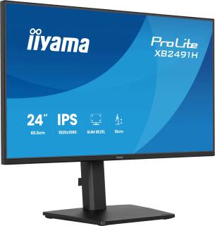 Монитор iiyama ProLite XB2491H-B1 Matte black