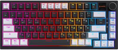 Клавиатура GamePro Asgard Valhalla Pro MK160B-D-Pro Rainy Switch Wire