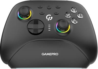 Манипулятор GamePro із зарядною станцією BT 5.3/USB/2.4 ГГц (Switch/PC GPX13BDOC