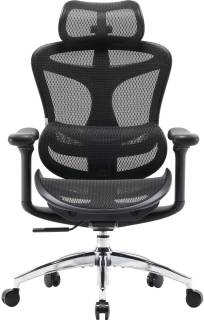 Кресло Sihoo DORO-C300L-A3-101