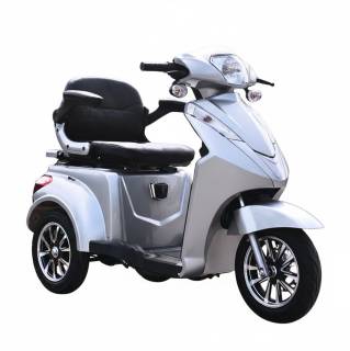 Электротранспорт Vista-2 (T408-2) 1000Вт 60В 20Агод, Silver 303290
