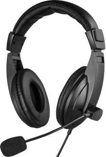 Наушники Sandberg Saver MiniJack Headset Large Black 325-28
