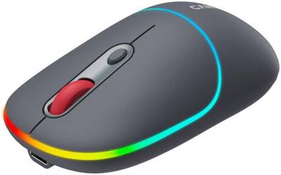 Мышка Canyon MW-22 Dual Band RGB Wireless Dark Grey CNS-CMSW22DG