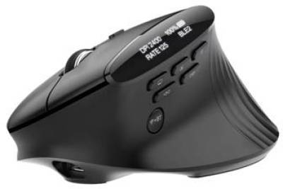 Мышка Acer Smart Fit Vertical Wireless Black HP.EXPBG.020