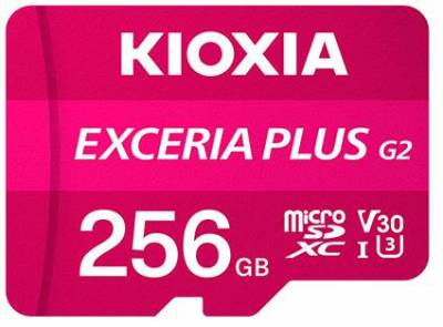 Флеш-карта Kioxia LMPL2M256GG2