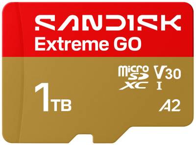 Флеш-карта SanDisk Extreme GO SDXC 1TB UHS-I V30 A2 SDSQXGN-1T00-GN6MN