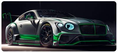 Коврик VOLTRONIC Bentley Continental GT3 C09383