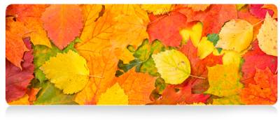 Коврик VOLTRONIC Autumn leaves FL372