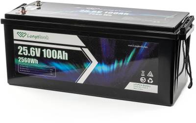 Аккумулятор Longttech 24V - 100Ah LAR24100-LT160-P