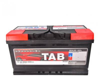 Аккумулятор TAB 100 Ah/12V  Magic Euro 189 800