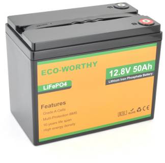 Аккумулятор Dyness 12,8V 50Ah (50/50A) Eco-Worthy-1250