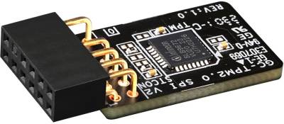 Аксеcсуар Gigabyte GC-TPM2.0 SPI V2