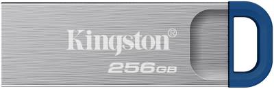 Флешка Kingston DTKNG2/256GB