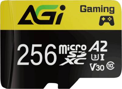 Флеш-карта AGI AGI256GGSTF138-R2