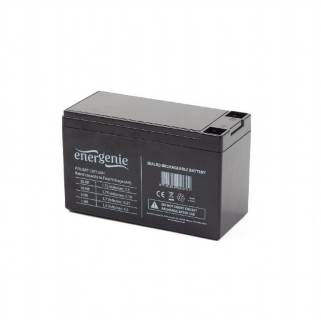 Аккумулятор EnerGenie BAT-12V7AH