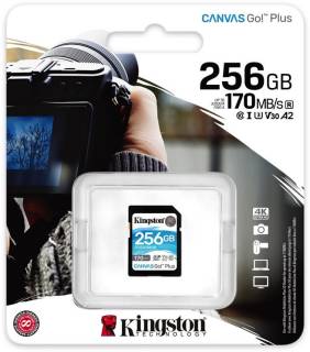 Карта памяти Kingston Canvas Go! Plus SDXC 256GB SDG3/256GB