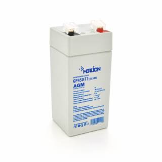 Аккумулятор Merlion 4V - 5 Ah (GP450F1)