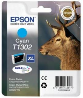 Картридж Epson C13T13024012