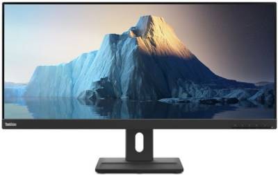 Монитор Lenovo ThinkVision E29w-20 (62CEGAT3UA)