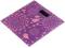 Миниатюра DARIO DFS-2818F Branches, фото 2