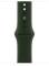 Миниатюра Apple Watch 6 4G 44mm Gold Stainless Steel Case w. Cyprus Green Sport B. M07N3/M09F3, фото 3