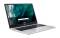 Миниатюра Acer Chromebook 315 CB315-4HT-C09F Pure Silver (NX.KBAEU.001, фото 3