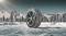 Миниатюра Hankook Winter i*Cept iZ3 W636 205/50 R17 93H XL, фото 2